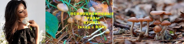 экстази Гусь-Хрустальный