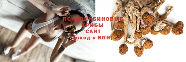 синтетический гашиш Гусиноозёрск