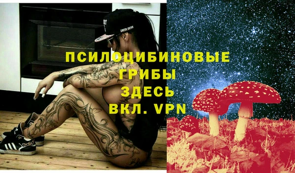 гидропоника Гусев
