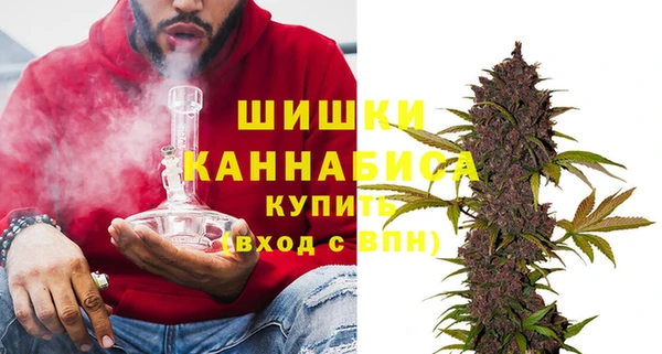 гидропоника Гусев