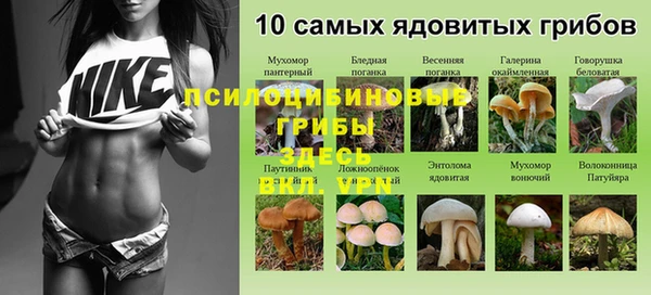 синтетический гашиш Гусиноозёрск