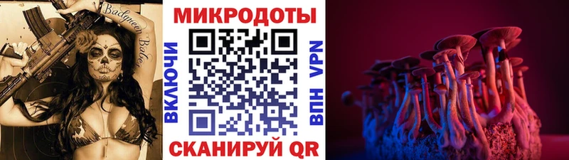 Галлюциногенные грибы прущие грибы  как найти наркотики  Махачкала 