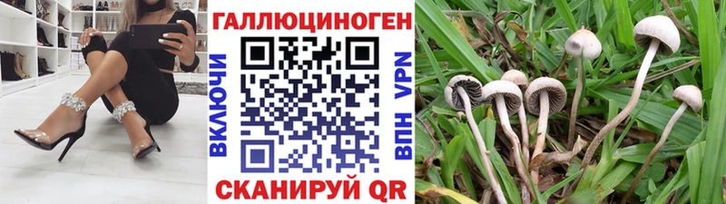 Псилоцибиновые грибы мухоморы Махачкала