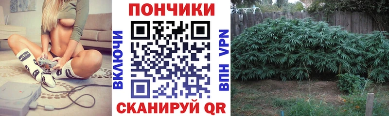 Канабис гибрид  Махачкала 